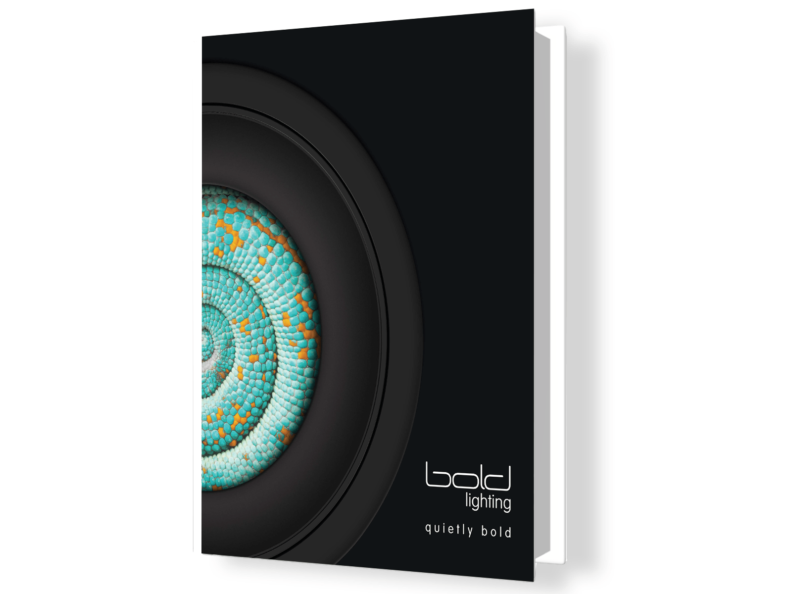 CATALOGUE BOLD LIGHTING 2025